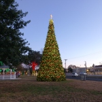 Kerrville's town square Christmas tree. Merry Christmas to all . . . 